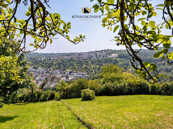 Aussicht_Garten_DSC3935