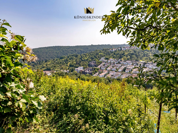 Aussicht_Garten_DSC3937