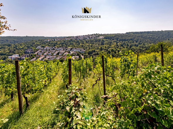 Aussicht_Garten_DSC3938