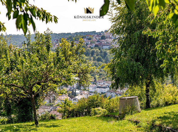 Aussicht_Garten_DSC3951