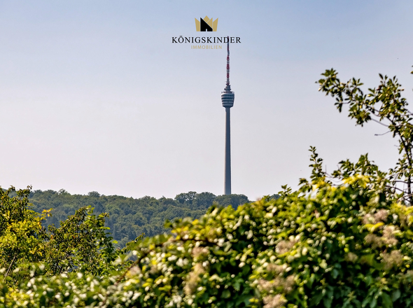 Aussicht_Garten_DSC3954