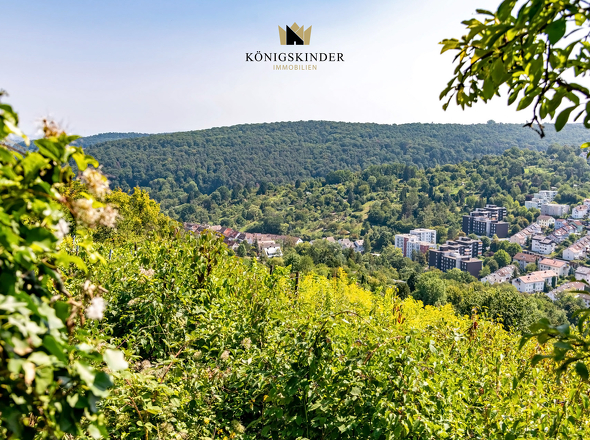 Aussicht_Garten_DSC3955