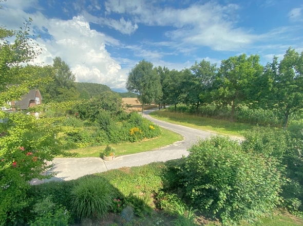 Tolle Aussicht ins Grüne