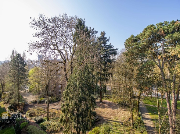 Blick vom Balkon 