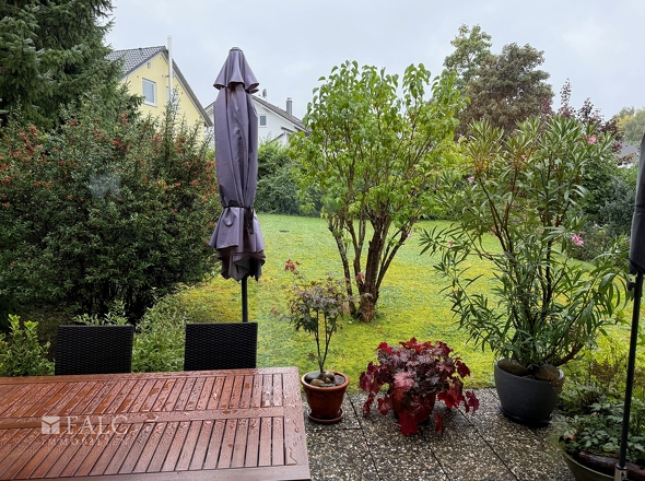 Blick in Garten vom EG