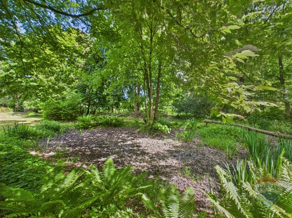 Teich im Garten