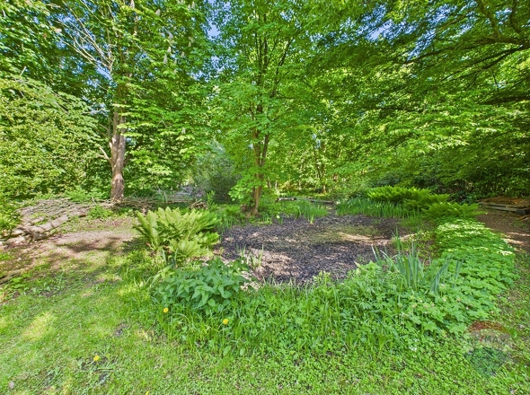 Teich im Garten