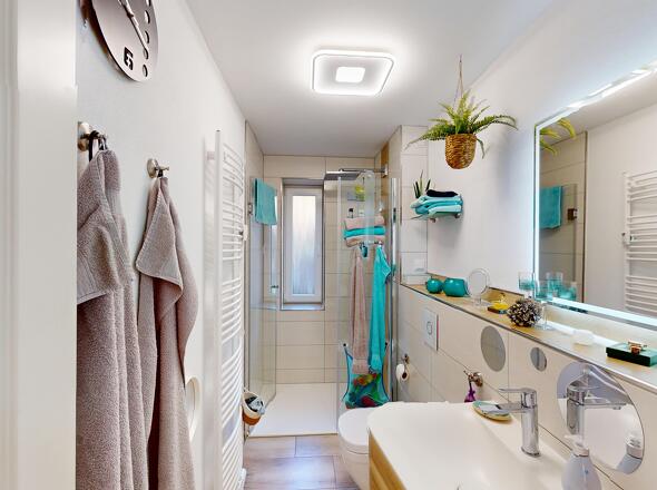 Modernes Tageslichtbad