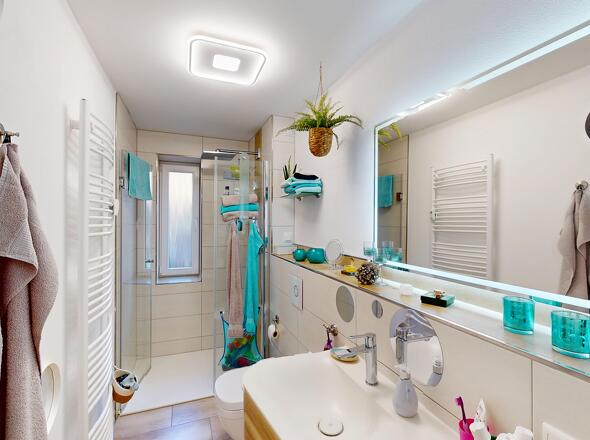 Modernes Tageslichtbad