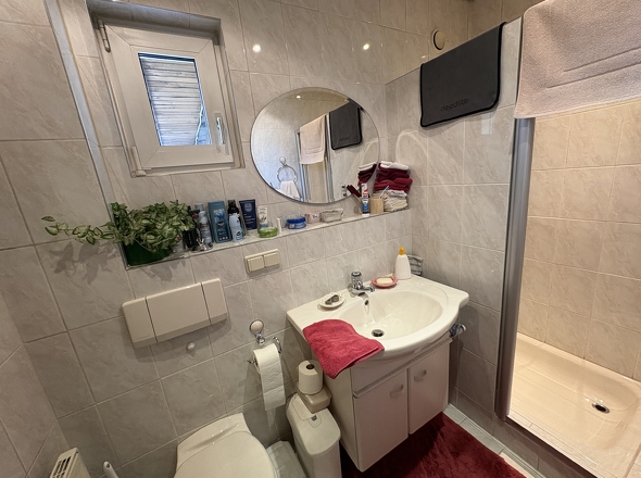 Badezimmer mit Dusche (EG)