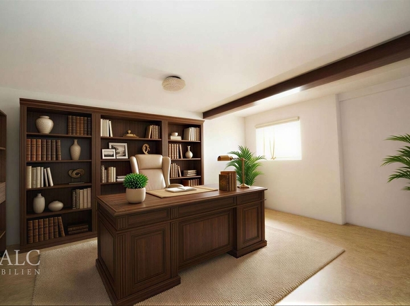 Ihr persönliches Home-Office (Vis.)