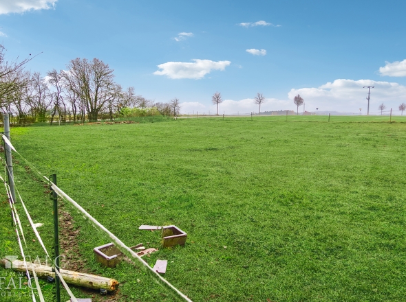 Wiese ca. 2000 m², eingezäunt