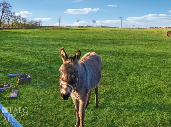 ca. 2000 m² für Tiere