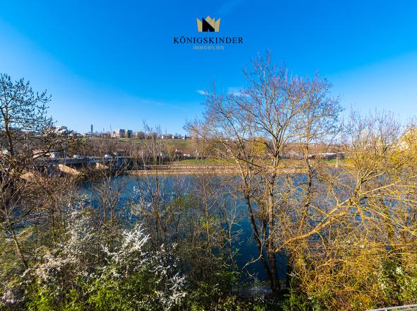 Ausblick auf den Neckar