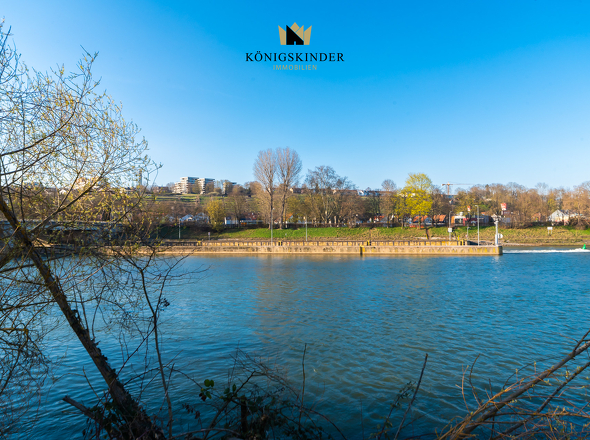 Ausblick auf den Neckar