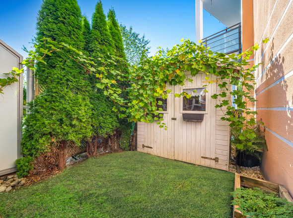 Südterrasse mit Garten