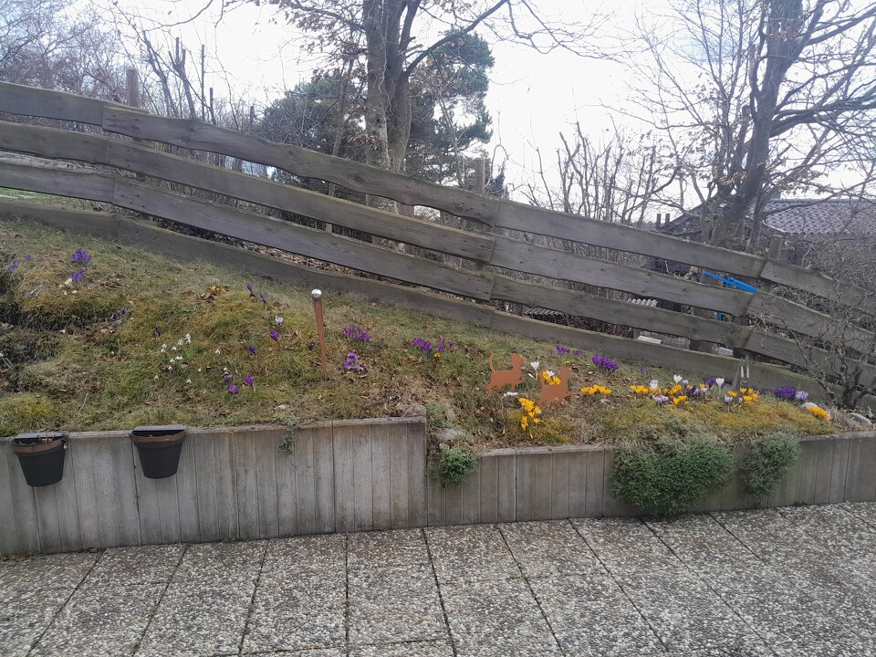 Impression_außen