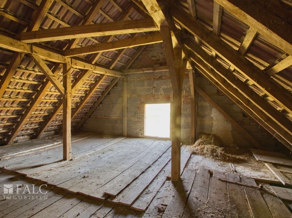 Ausbaupotenzial Dachboden 