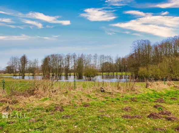 Moorlandschaft hinter dem Grundstück