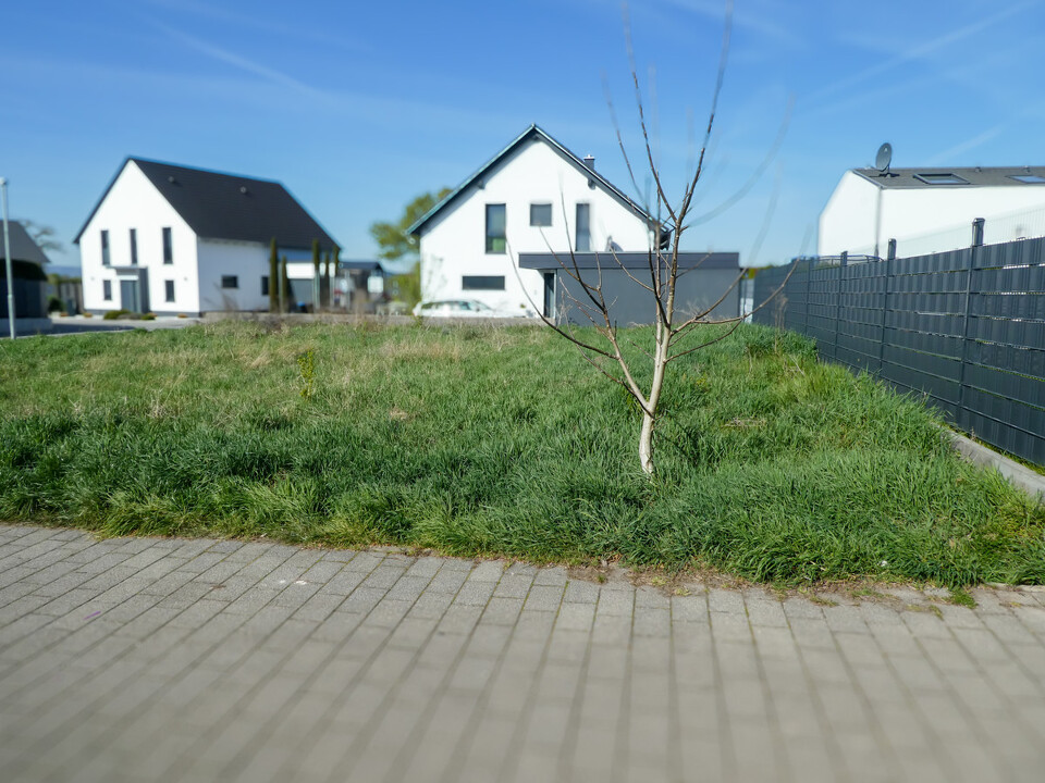 P1060595