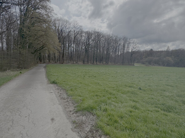 Felsbergstr. 
