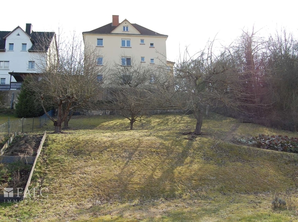 Garten mit Haus von hinten