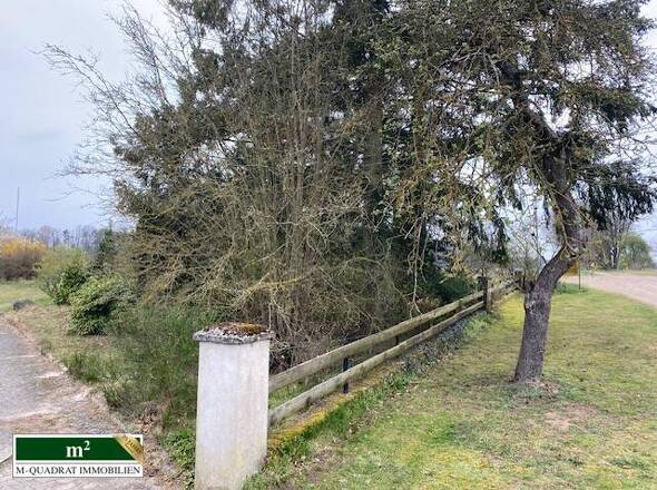 Baugrundstück straßenseitig mit Einfriedung