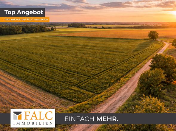 Ackerfläche Beispielbild 