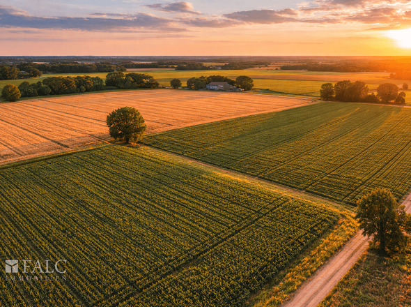 Ackerfläche Beispielbild