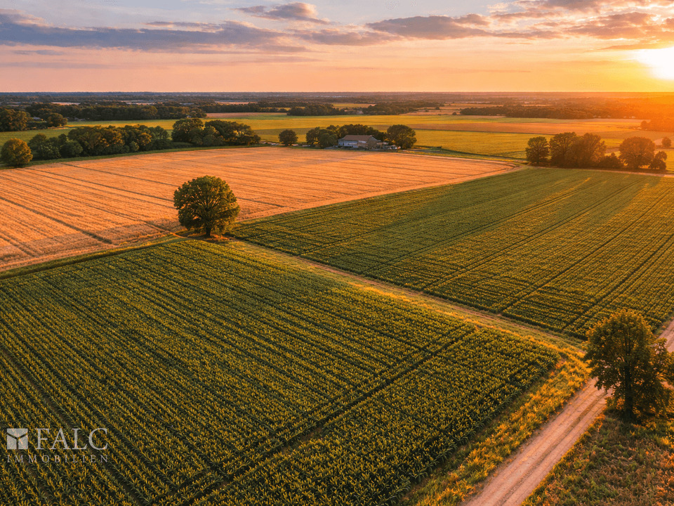 Ackerfläche Beispielbild