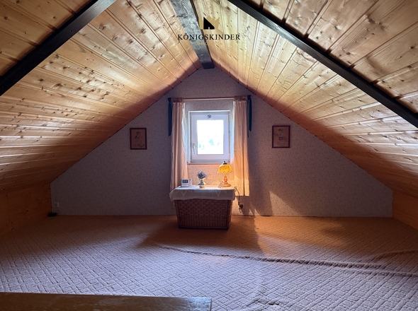 Dachspitz/Schlafen 3