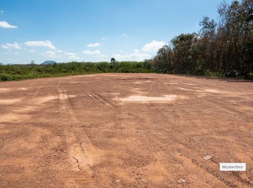 Grundstück_Wiese_2_Musterfoto