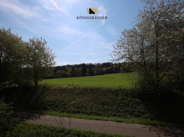 Grün hinter dem Haus