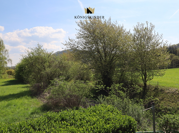 Grün neben dem Haus