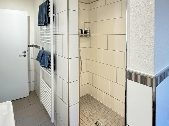 Modernes Tageslichtbad mit ebenerdiger Dusche