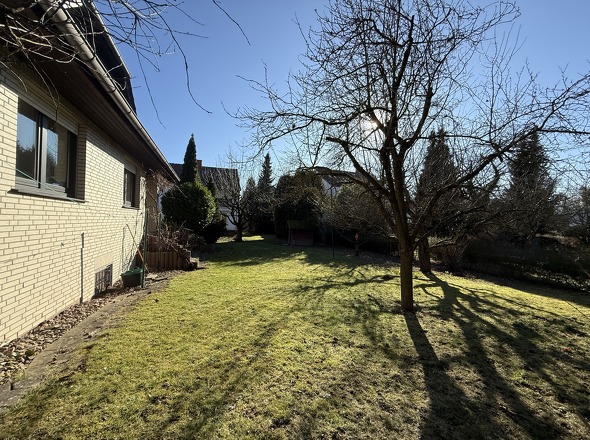 Sonniger Gartenbereich