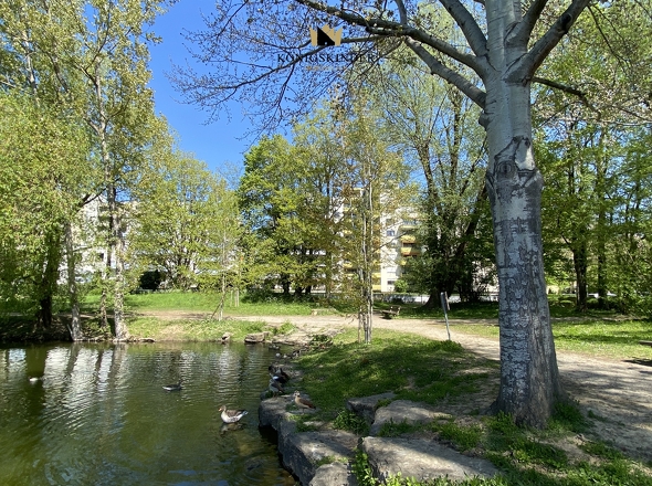 Blick vom Probstsee zur Immobilie