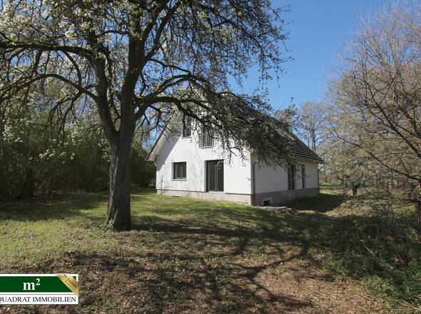 Gartenperspektive auf modernes EFH