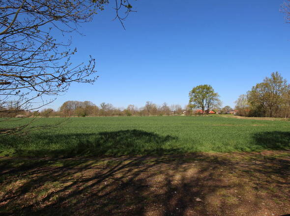 Einmalige ländliche Alleinlage mit energieeffizientem EFH