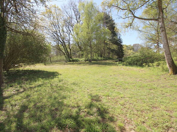Herrlicher Gartenblick auf Baumbestand u. nahem Teich