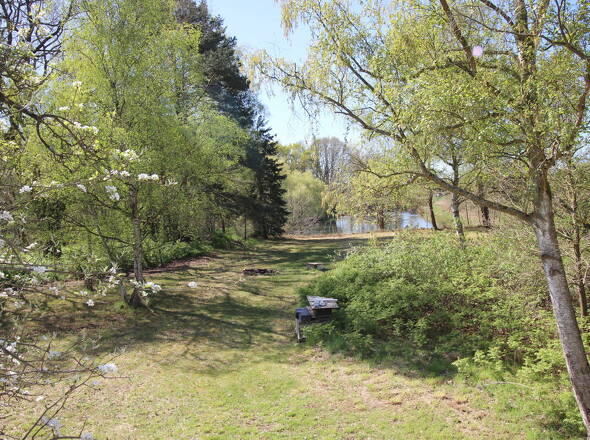Taumhaft schöner Gartenblick auf nahen Teich