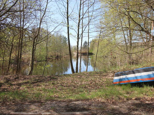 Zusätzlich erwerbbarer Teich mit rd. 1.000 m² Land