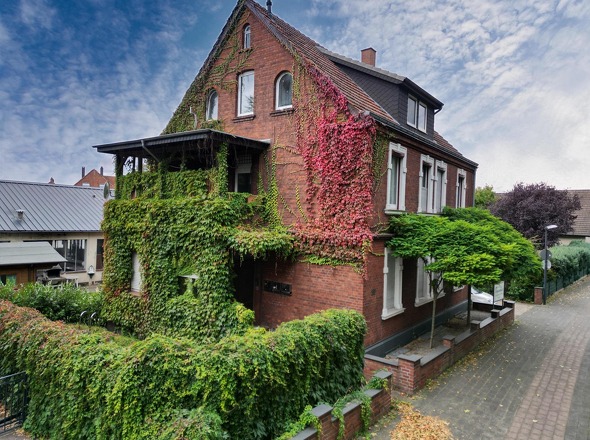 verwunschener Gartenanteil