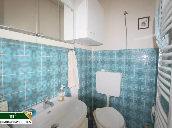 Gäste-WC mit Dusche EG