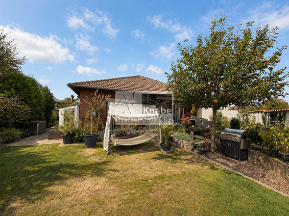 Blick aus dem Garten