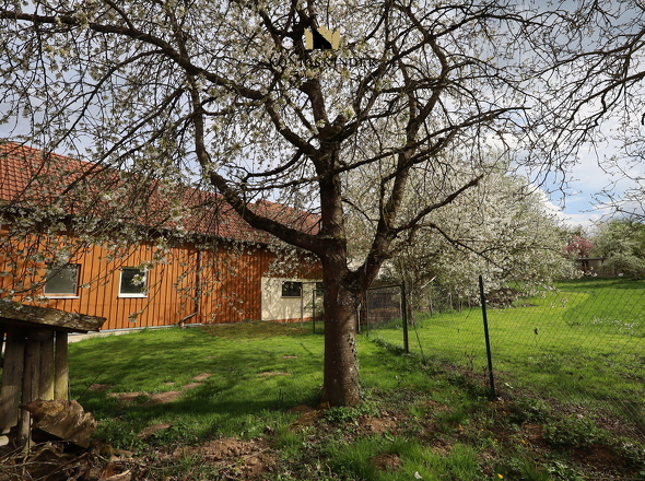 Paradies für Gartenfreunde