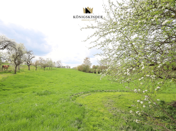 Freie Sicht nach Westen