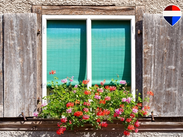 Titelbild Musterfoto