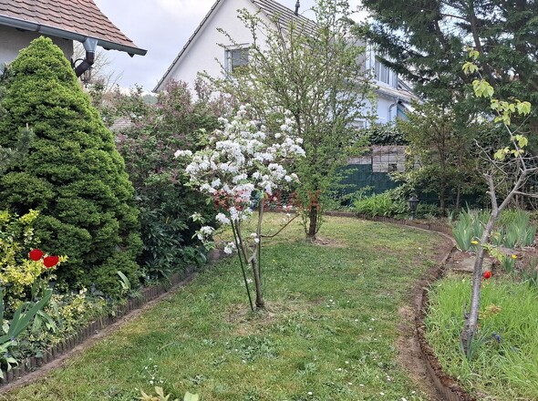 Vorgarten4