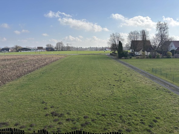 Blick auf Wiese